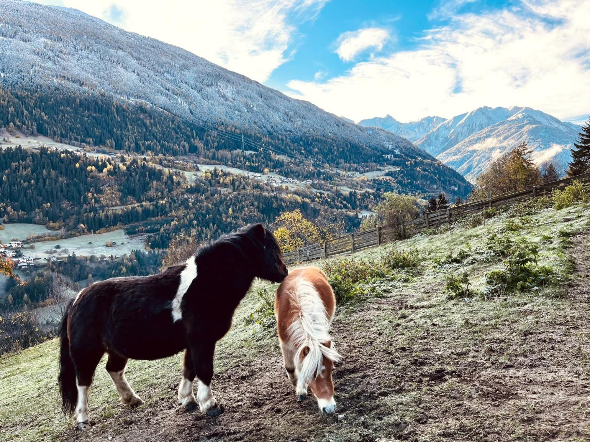 Apart Alpenzeit Arzl im Pitztal Eksteriør billede