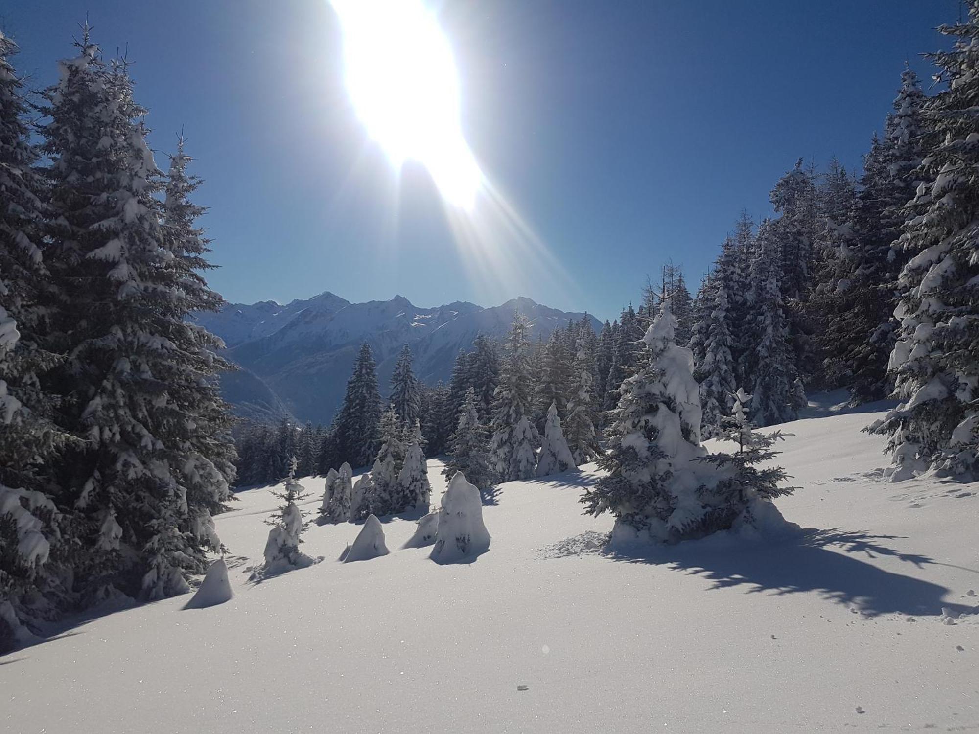 Apart Alpenzeit Arzl im Pitztal Eksteriør billede